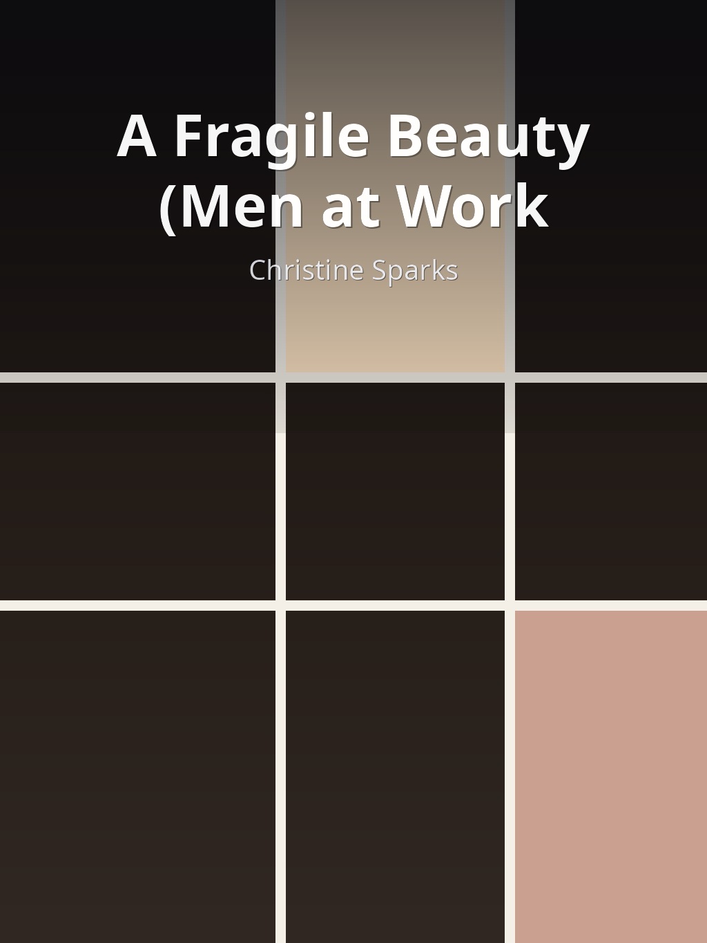 A Fragile Beauty (Men at Work by Christine Sparks book cover