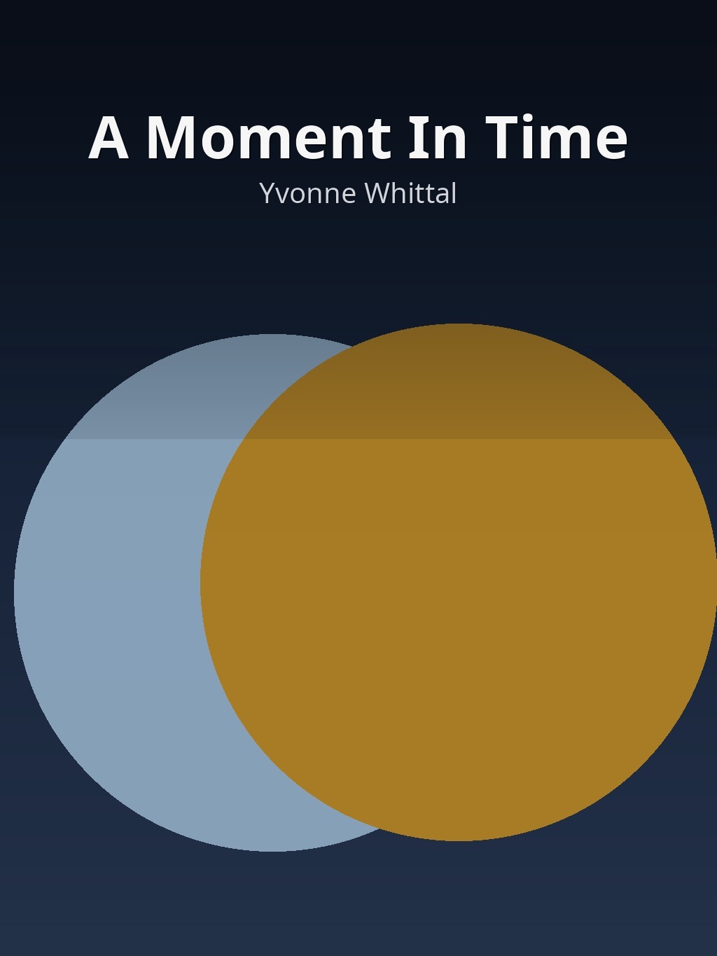 A Moment In Time by Yvonne Whittal book cover