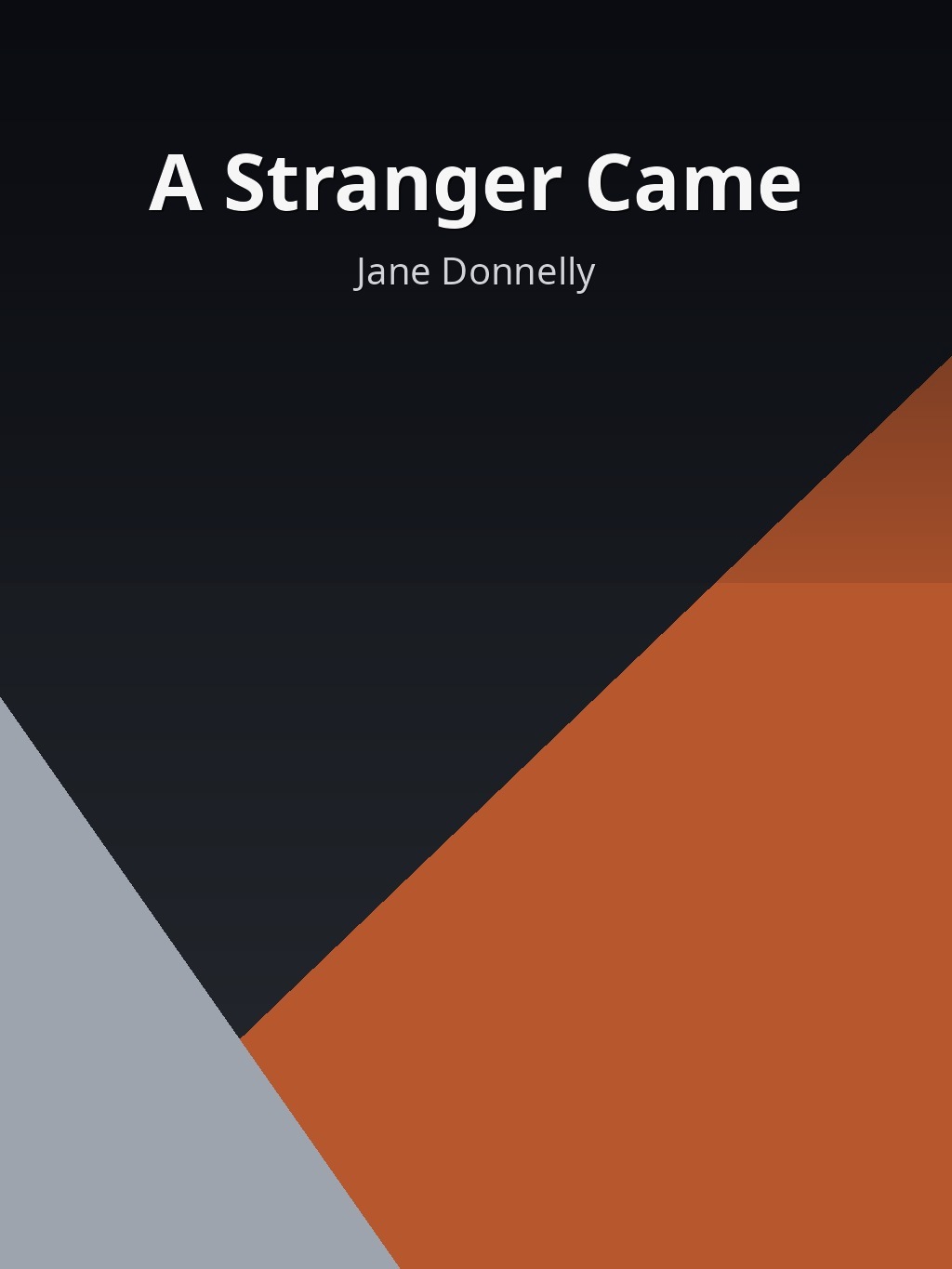 A Stranger Came by Jane Donnelly book cover