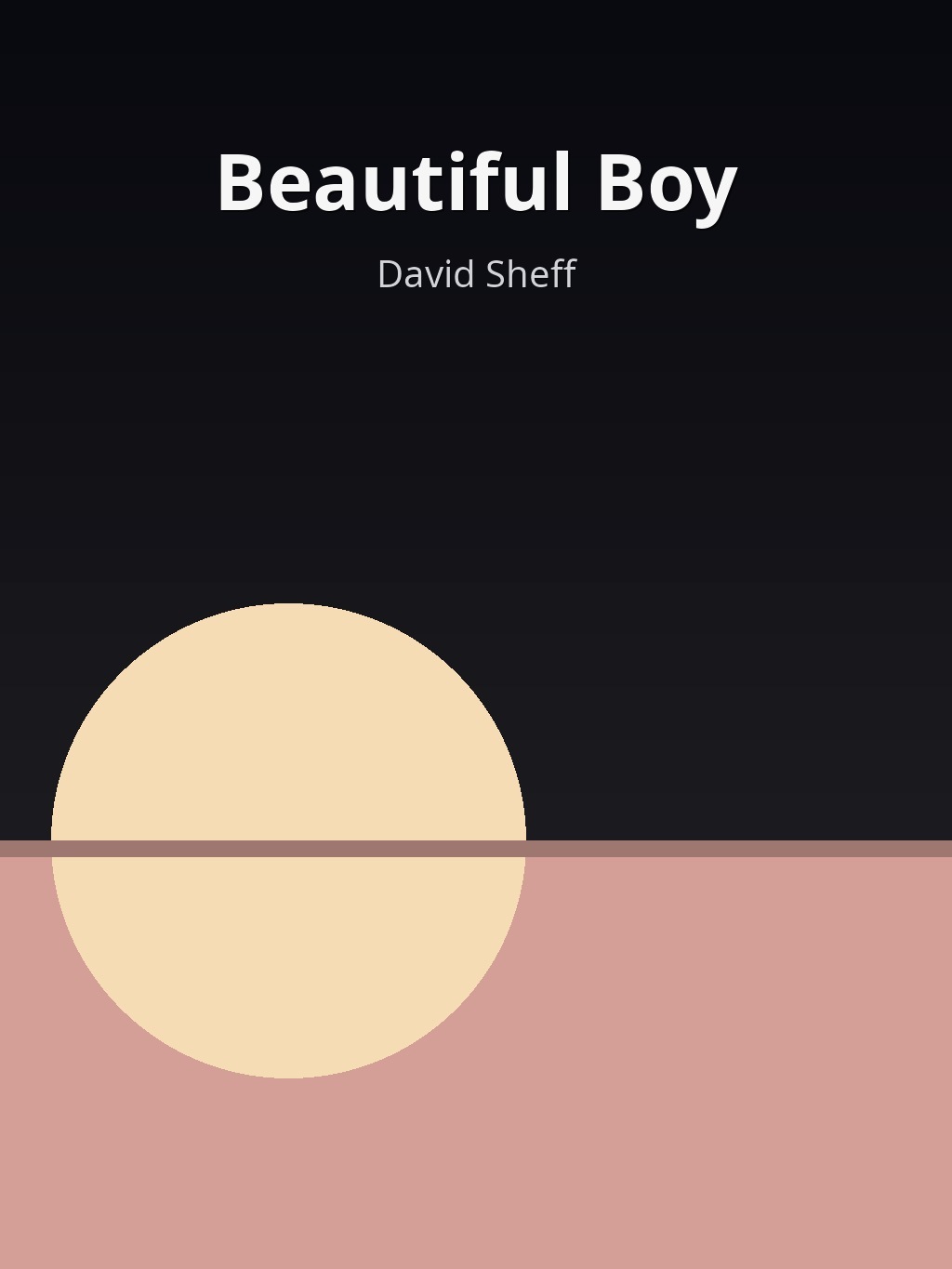 Beautiful Boy by David Sheff book cover
