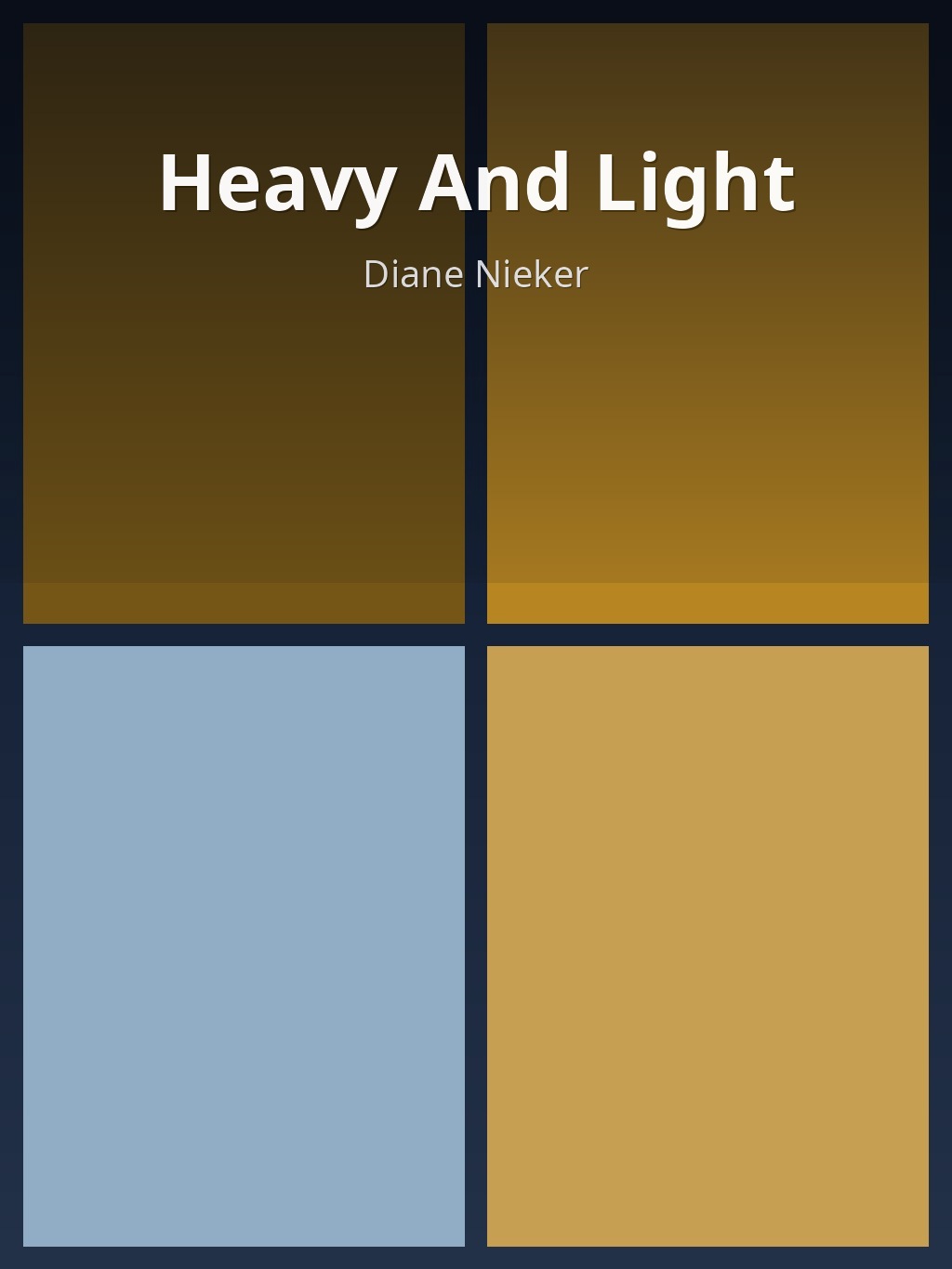Heavy And Light by Diane Nieker book cover