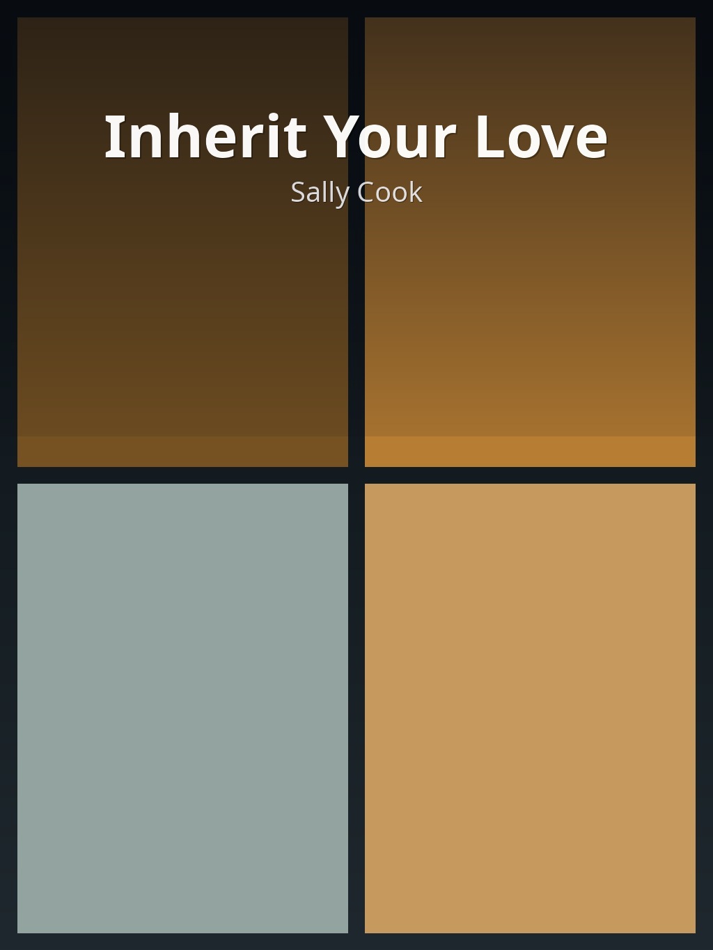 Inherit Your Love by Sally Cook book cover