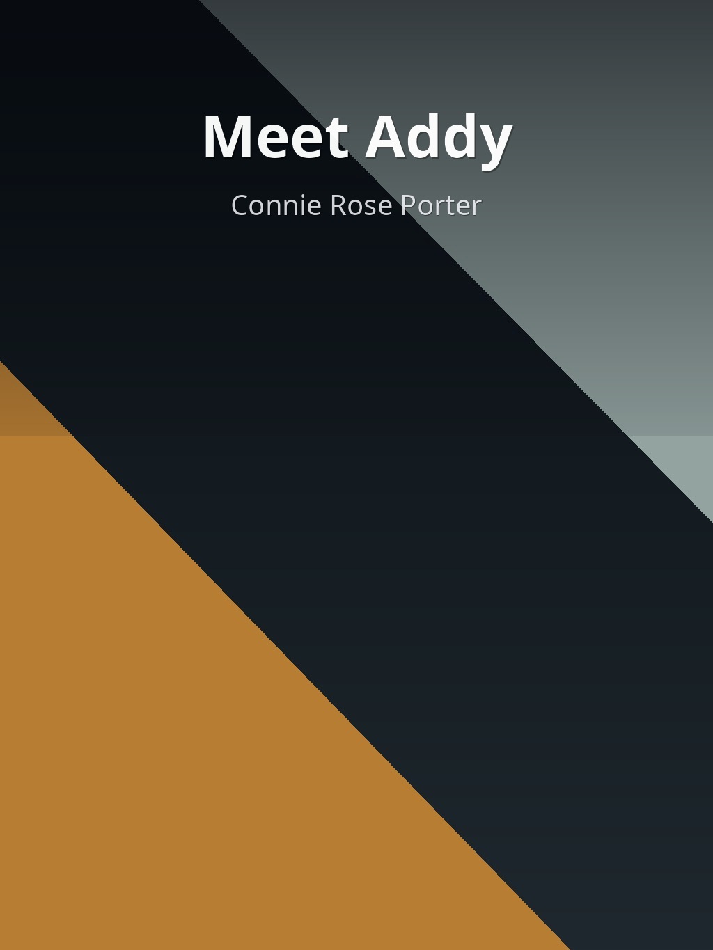Meet Addy by Connie Rose Porter book cover