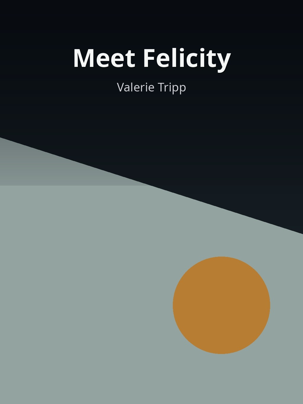 Meet Felicity by Valerie Tripp book cover