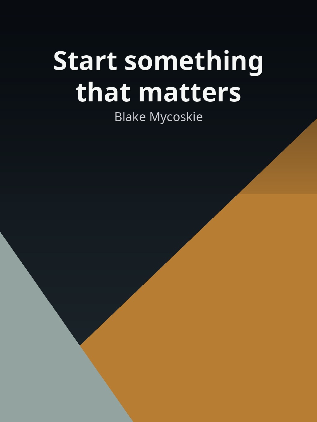 Start something that matters by Blake Mycoskie book cover
