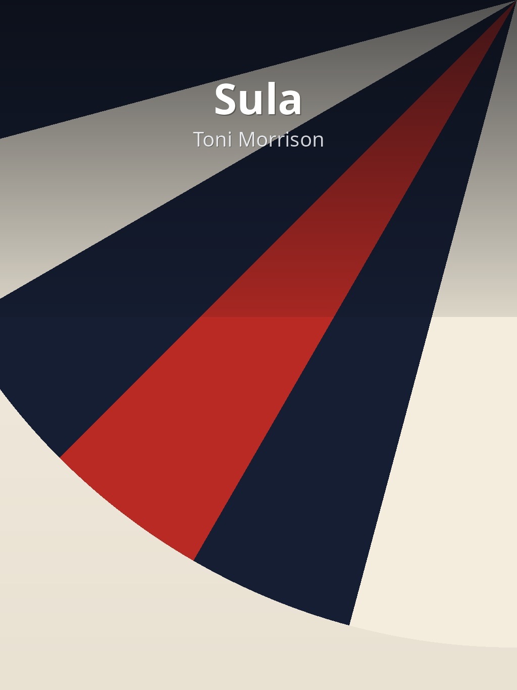 Sula by Toni Morrison book cover