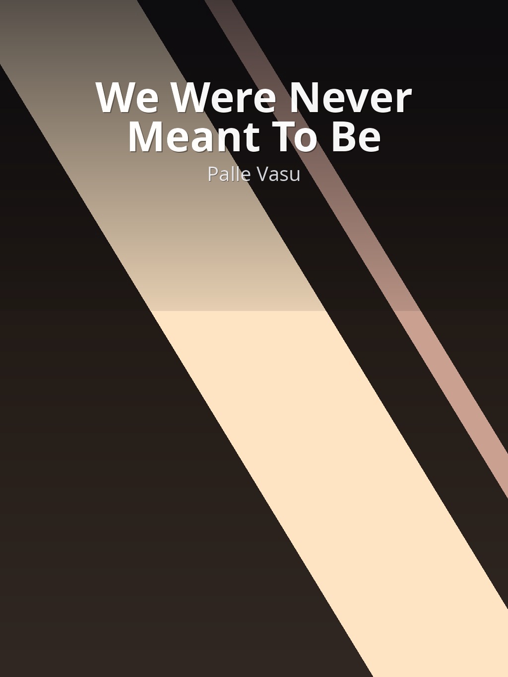 We Were Never Meant To Be by Palle Vasu book cover