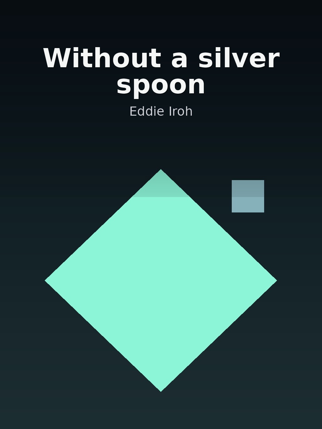 Without a silver spoon by Eddie Iroh book cover